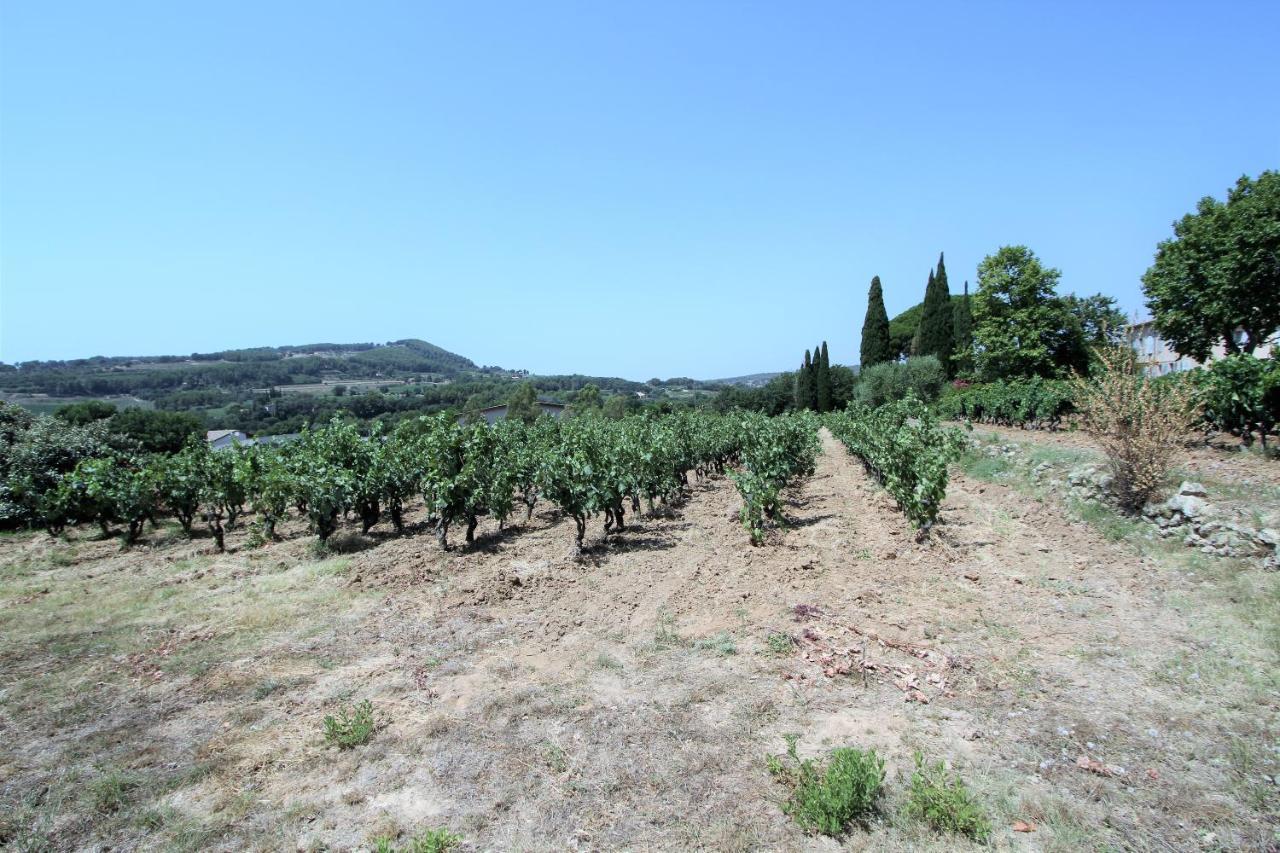 Bastide La Marraine Villa Le Castellet  Ngoại thất bức ảnh